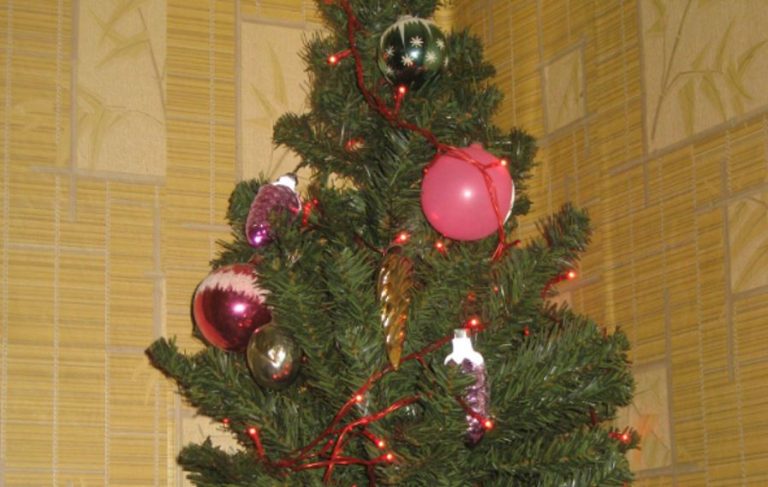 Оксана думала, що ці свята, як і завжди, вона проведе на самоті. Але за кілька хвилин до свята на неї чекав сюрприз.