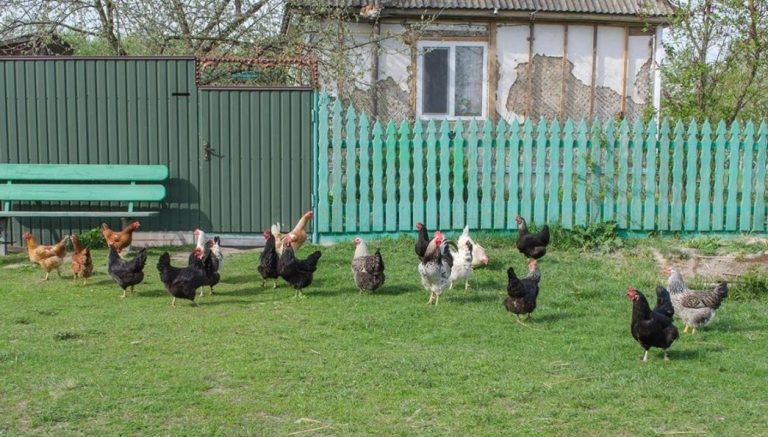 Я думала, що мама поділить свою спадщину порівну між мною та братом, доки не підслухала їхню розмову. Це було важким уда ром для мене.