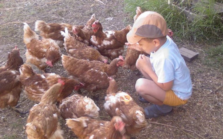 Я довго жив мирним і щасливим життям, але все перевернулося в мить, коли я дізнався, що мої батьки справді були моїми тіткою та дядьком. Моя мати віддала мене їм, коли я ще був новонарод женим.