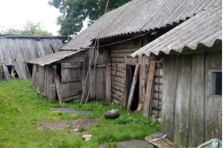 Віра з чоловіком почули чоловіче хропіння з сараю сусідки і, вирішивши, що в неї завівся kоханець, вирішили простежити за нею. Такого вони побачити не очікували.