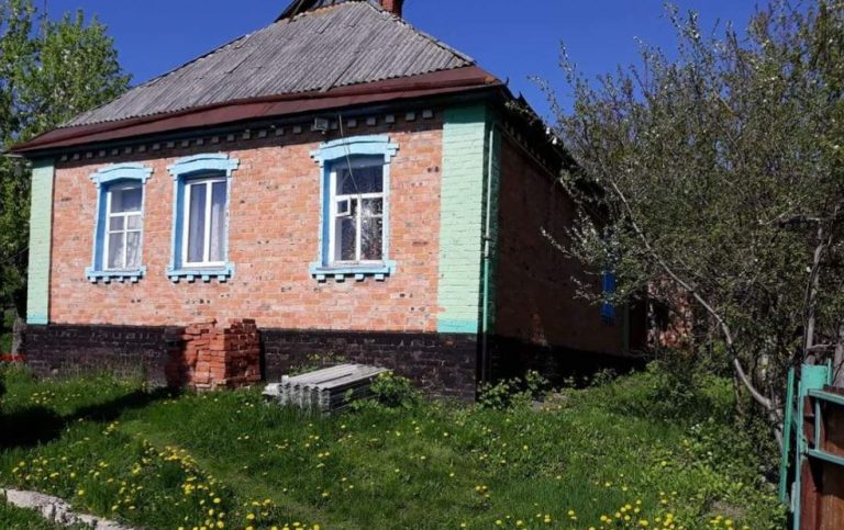 Зіна побачила сина і її серце передчувало, що діється щось недобре. І раптом з’явилася її дочка і заявила, що брата бачили з іншою жінкою у селі.