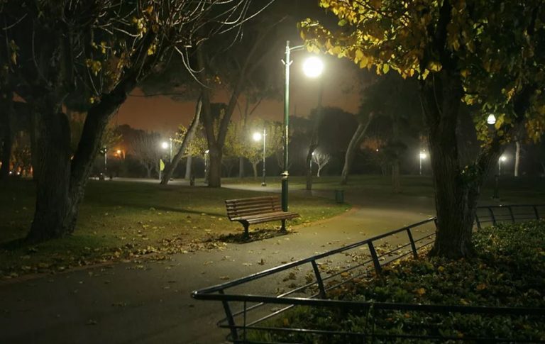 Якось увечері, повертаючись з роботи додому через парк, я натрапила на кинуту коляску. Але моя здивування досягло свого піку, коли з найближчих кущів з’явився маленький хлопчик і простяг до мене руки.