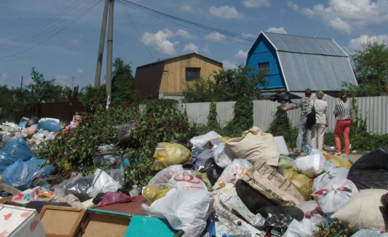 Ми куnили дачу, і вже за тиждень почалося пекло: двір виявився завалений сміттям, усі ягоди пропали. Останньою краплею стали розбиті курячі яйця на нашому паркані.