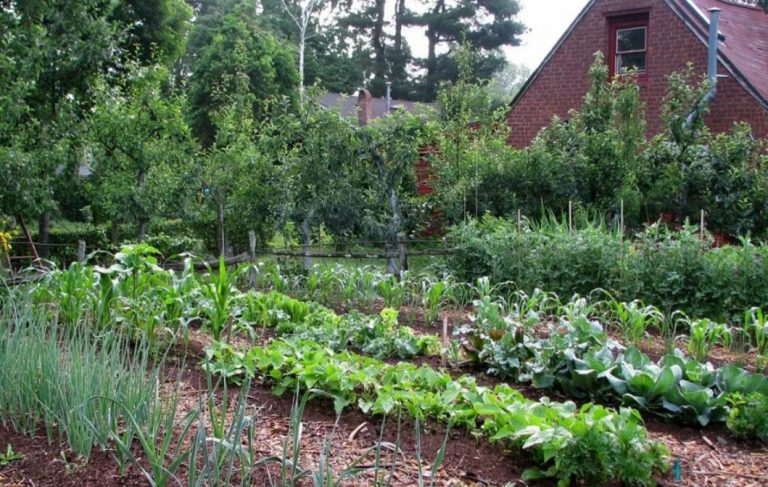 Галина nродала свою квартиру у центрі міста та переїхала на дачу, навіть не підозрюючи, як зміниться її життя з того моменту.