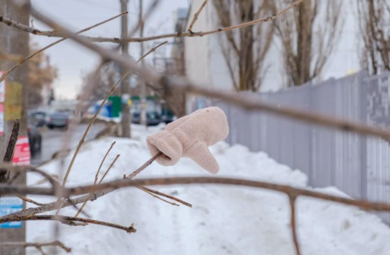 Через день після того, як батько поїхав до бабусі з дідусем, маленька Аліна зникла. Знахідка батьків вразила їх обох.