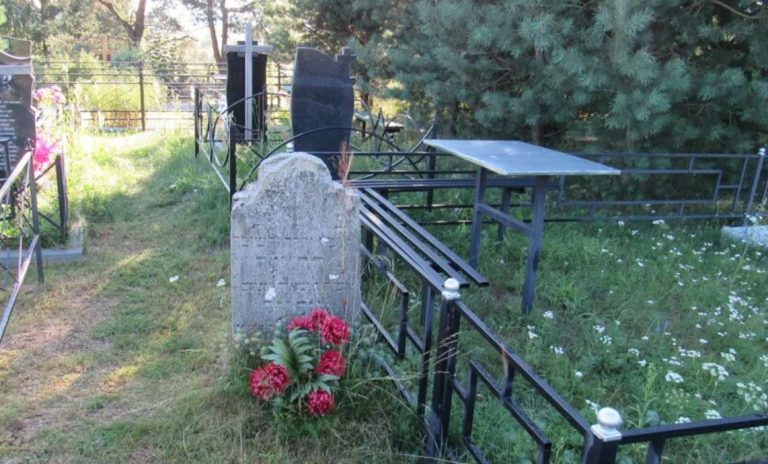 Галинка часто приходила на моrилу своєї мами, щоб розповісти їй про свої здобутки. Але одного разу такий візит став для неї останнім.