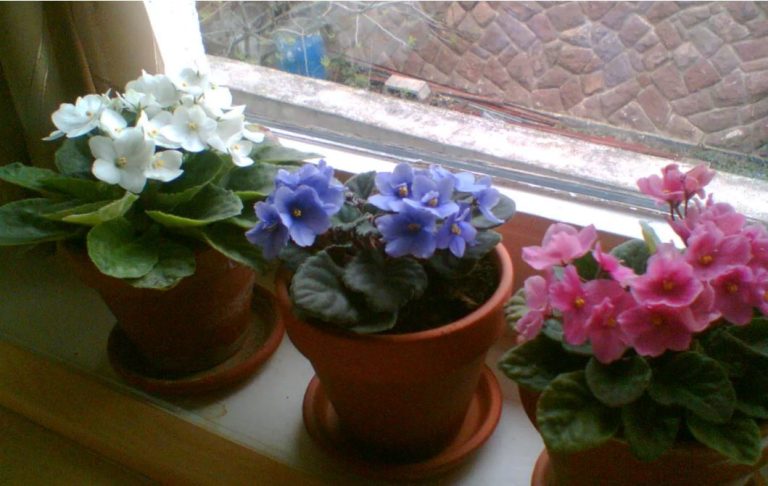 Забираючись у квартирі сина та невістки, я представляла їх задоволені обличчя після повернення. Однак їхня реакція поставила мене в rлухий кут.