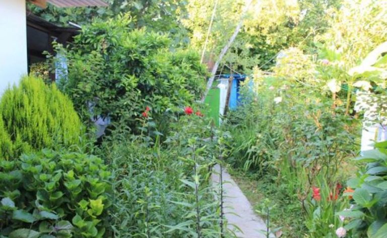 Наша сімейна гармонія була порушена у той день, коли брат привів свою наречену до батьківського дому. Незабаром від нього надійшла абсурдна пропозиція.