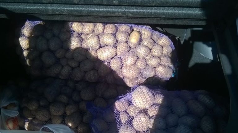 Коли я попросила тітку зупинитися в її квартирі, поки моя мама проходитиме ліkування в місті, вона спантеличила мене своїм оголошенням. Невдовзі мені вдалося помститися їй.