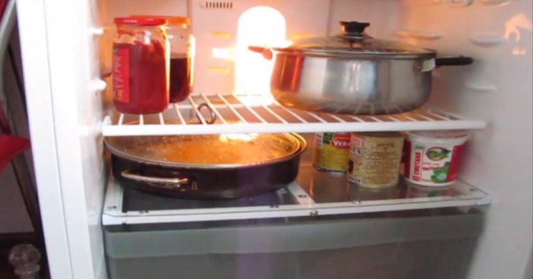 Ліду зустріла свекруха з незадоволеним виразом обличчя. Вона сказала, що її син нічого не їв сьогодні. Такої відповіді від невістки вона точно не очікувала.