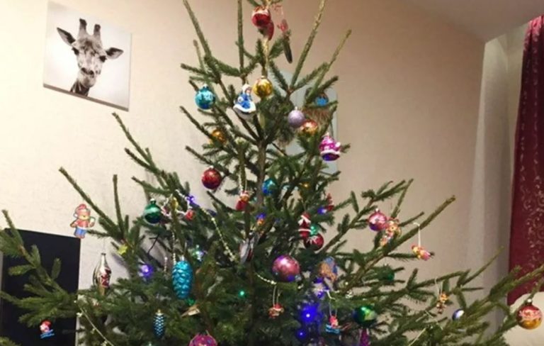 Ми натякнули синові, що хочемо другу дитину, його реакція нас приголомшила. Але найгірше сталося тоді, коли він дізнався, що я вже вагітна