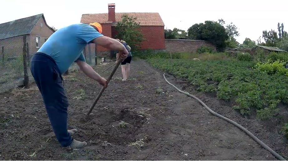 Після того, як мій син одружився та з’їхав з дому, ми з дружиною стали чужими людьми. Я часто думаю про розлучення, але побоююся реакції суспільства.