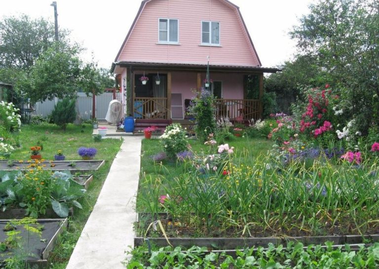 Маша була розчарована поведінкою родичів, які часто просили у них ключі від батьківської дачі. У результаті дівчина взяла справу у свої руки, перетворивши дачу на сімейне місце.