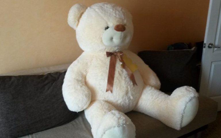 Коли Марія та Геннадій вирішили взяти до себе осиротілих племінників, ця ідея не сподобалася їхній дочці Світлані.