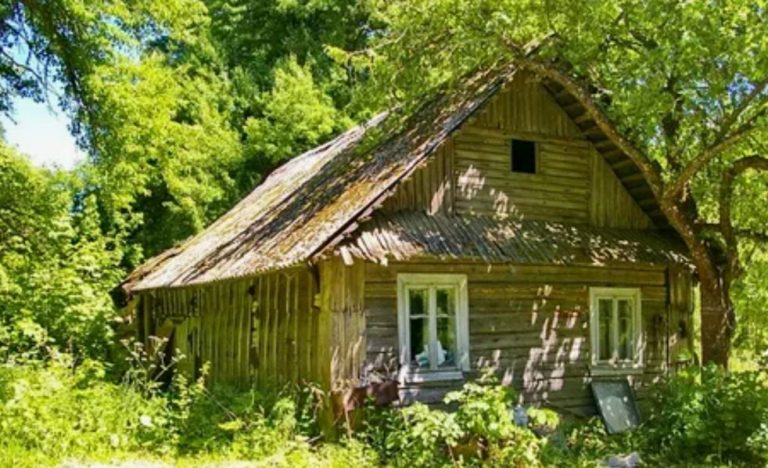 Я знав, що моя, вже заможна, сім’я родом з маленького села, але я ніколи там не був у свідомому віці. Нещодавно я вирішив розібратися у своєму корінні.