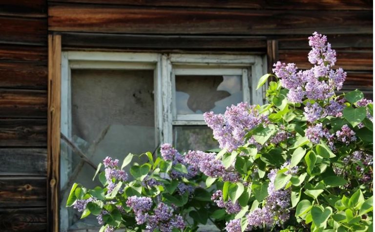 Я вважаю, що мій чоловік дуже правильно вчинив зі своєю невдячною матір’ю. Як би там не було, сам він досі мучить себе сумнівами.