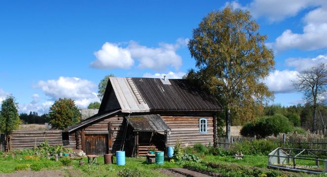 Нещодавно я вирішила повернутись на батьківщину після 15 років роботи за кордоном, щоб поправити своє здоров’я. Але, як виявилося, донька мала свої плани на мої заощадження.