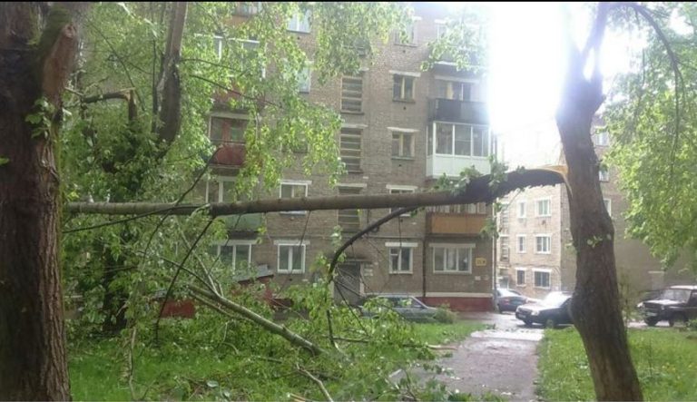 Коли я повернулася на батьківщину, щоб повідомити свою дочку важливу новину, вона приголомшила мене своєю реакцією. Зараз я думаю про те, як мені налагодити наші стосунки.