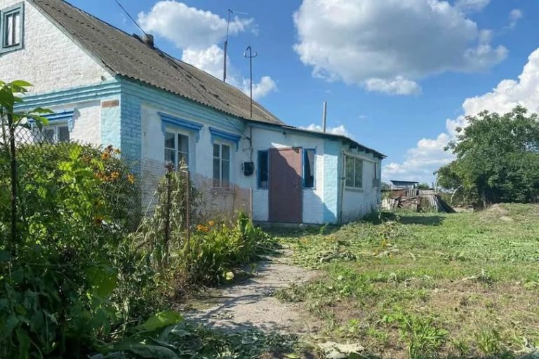 Віра займалася господарством, коли раптово задзвонив телефон. На екрані висвітлилося ім’я сусідки. — Привіт! Ти огірки закриватимеш? У мене банок багато, можу віддати, — запропонувала Ольга.