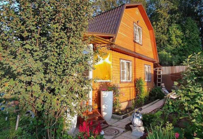 Коли Варя з Антоном купили дачу неподалік міста, вони були сповнені рішучості перетворити її на затишний будинок. Але у матері Антона раптом з’явилися свої плани.