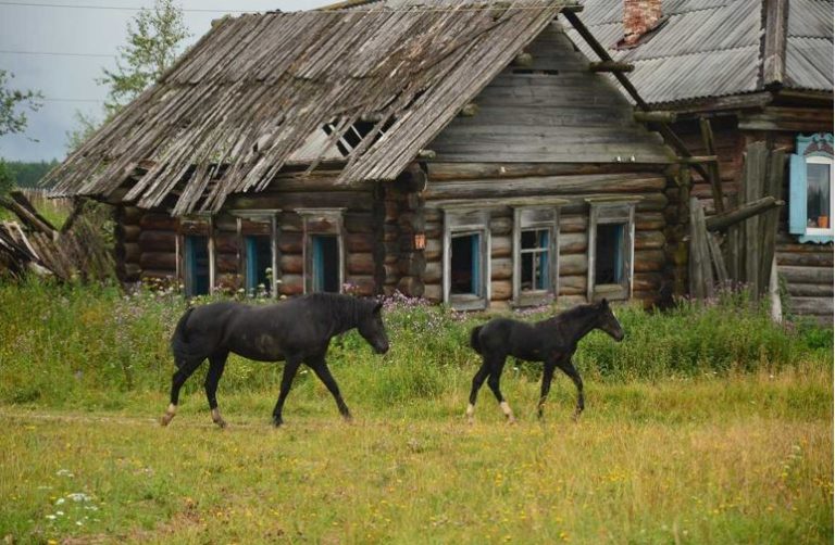 З ранніх років мама вчила мене не заздрити чужим успіхам. У дитинстві я не розуміла її сенсу, але все змінилося близько року тому під час прогулянки парком.