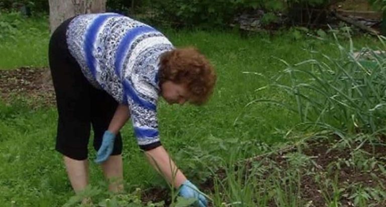 Я була вражена, коли моя колишня невістка приїхала до мене з візитом і навіть допомогла мені фінансово. Я й уявити не могла, що вона здатна пробачити мене.