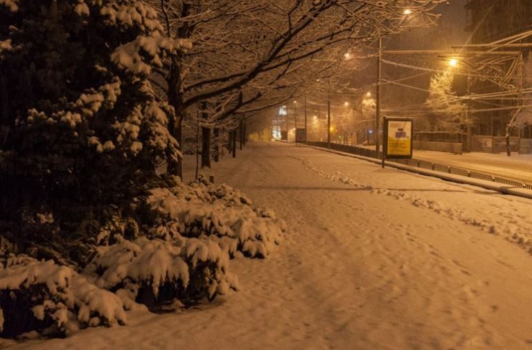 У листопаді, холодного та вітряного вечора, Володимир повертався з роботи. У сквері він помітив пакет, звідки лунав писк. Підійшовши ближче, він виявив новонароджену дівчинку.