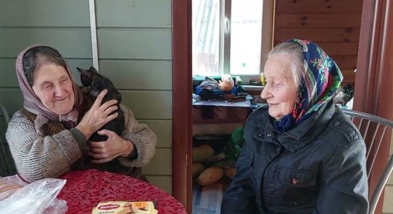 Віра почувала себе не найкращим чином. Сніг покривав село, і вона поринуло у спогади. Раптове запаморочення перервало її думки: вона почула знайомий голос