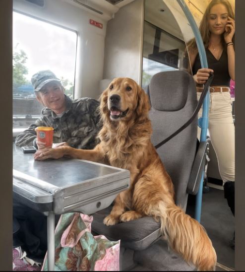 Sono salita su un treno per rimettere ordine nei pensieri… e mi sono ritrovata faccia a faccia con un cane che sembrava sapere tutto.